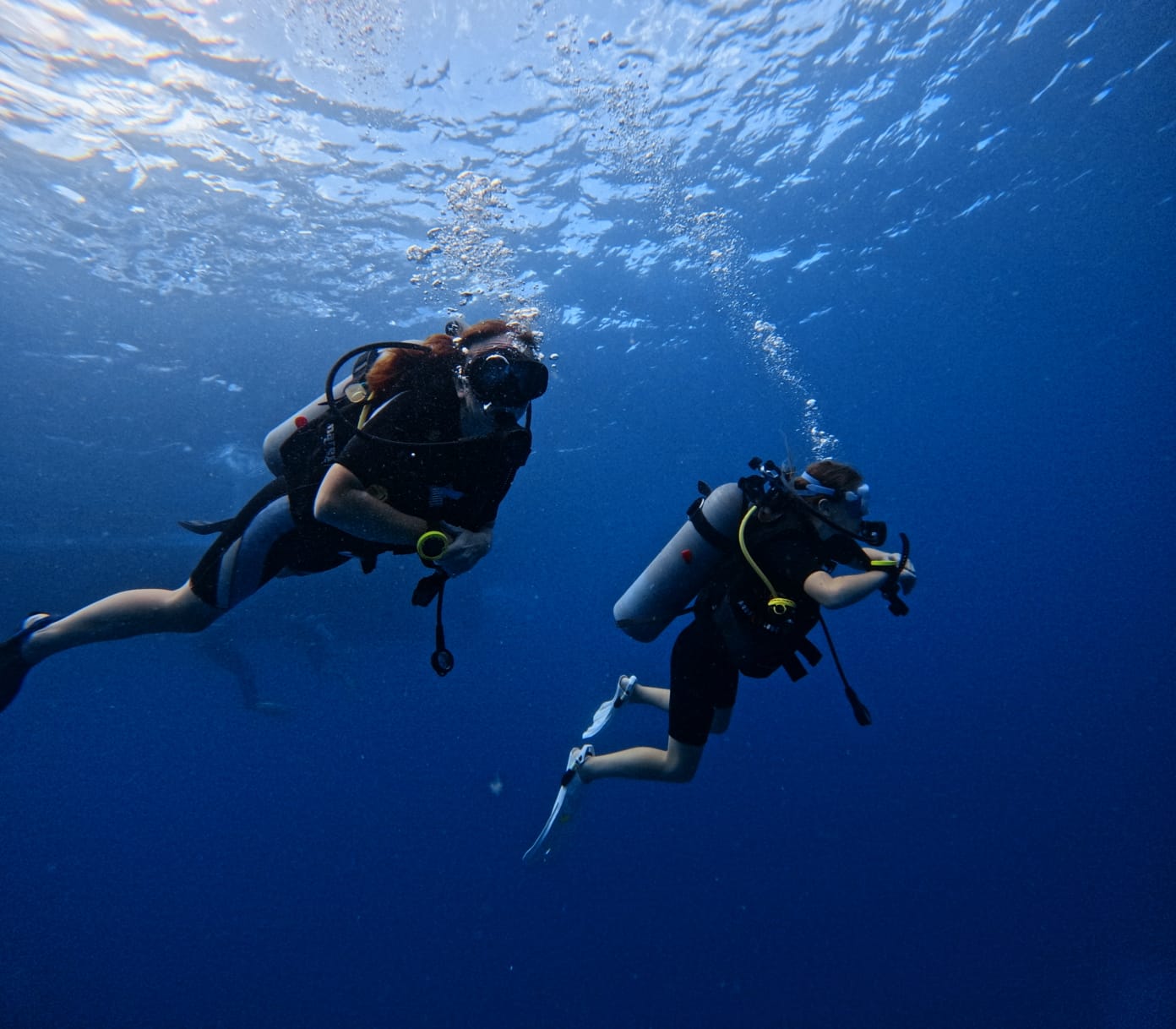Divers cruising the bright shallows at Shark Bay, Koh Tao